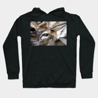 Caribou Head Hoodie